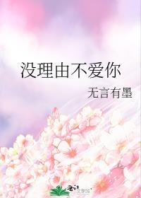 没理由不爱你封面