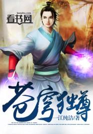 苍穹独尊封面