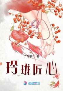 玲珑匠心封面