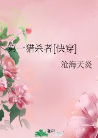 第一猎杀者[快穿]封面
