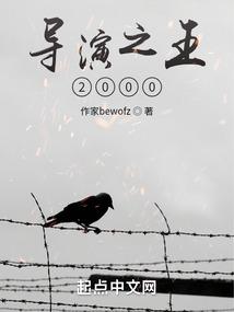 导演之王2000封面
