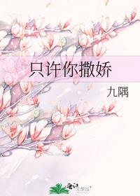 只许你撒娇封面