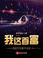 我这首富的运气可能不太好封面
