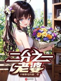 二分之一老婆封面
