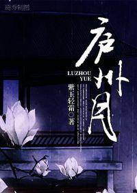 庐州月封面