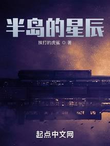 半岛的星辰封面