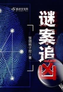 谜案追凶封面