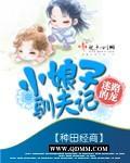 小娘子驯夫记封面
