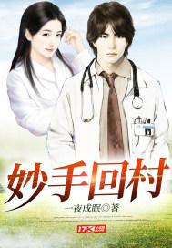 妙手回村封面