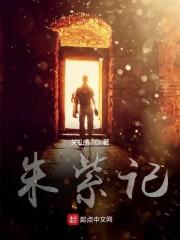 朱紫记封面