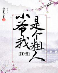 [红楼]小爷我是个粗人封面