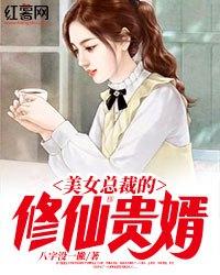 美女总裁的修仙贵婿封面