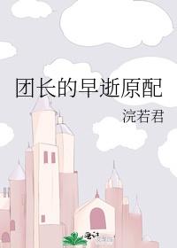 团长的早逝原配封面