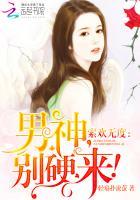 索欢无度：男神，轻一点！封面