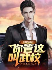 全球震惊！你管这叫武校封面