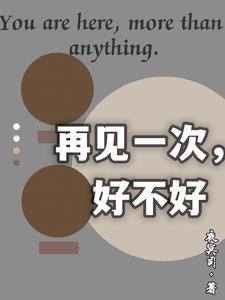 再见一次，好不好封面