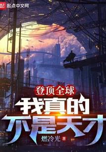 登顶全球:我真的不是天才封面