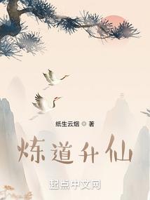 炼道升仙封面