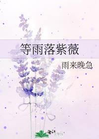 等雨落紫薇封面