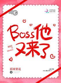 boss他又来了封面