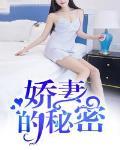 娇妻的秘密封面