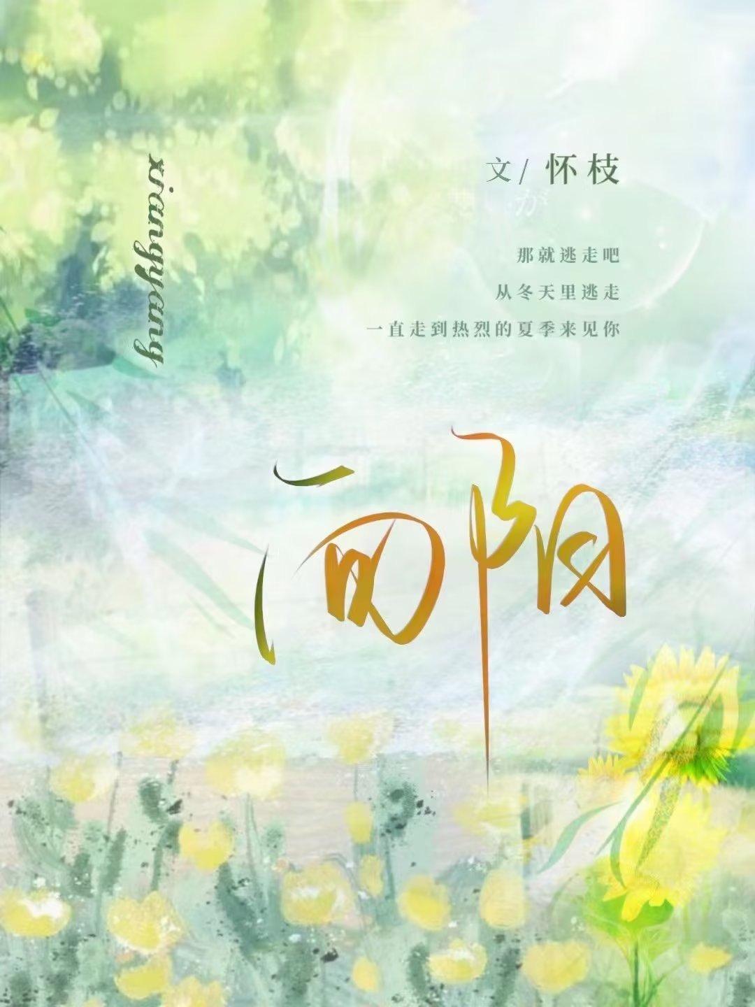 向阳封面