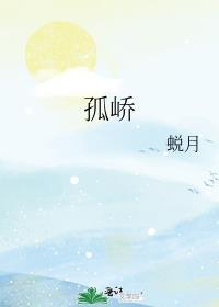 孤峤封面