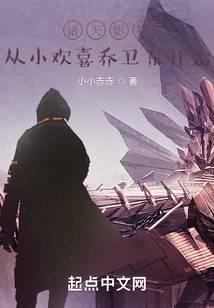 诸天影视从小欢喜乔卫东开始封面