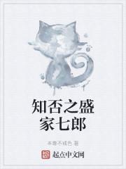 知否之盛家七郎封面