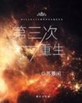 第三次重生封面