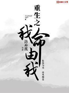 重生之我命由我封面