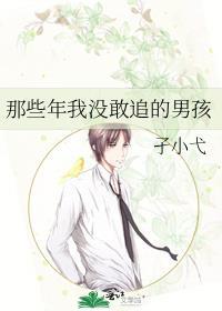 那些年我没敢追的男孩封面
