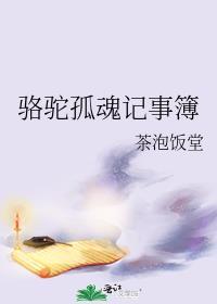 骆驼孤魂记事簿封面