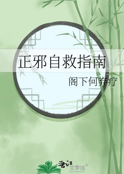 正邪自救指南封面
