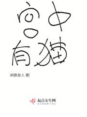宫中有猫封面