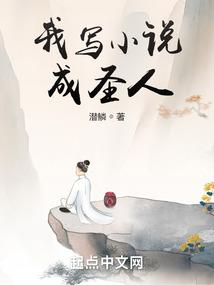 我写小说成圣人封面