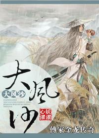傅家金龙传奇之大风沙封面