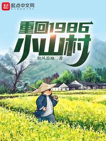 重回1986小山村封面