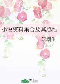 小说资料集合及其感悟封面