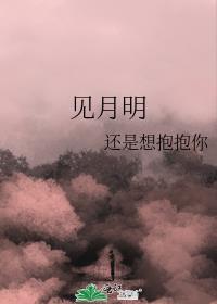 见月明封面
