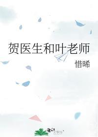 贺医生和叶老师封面