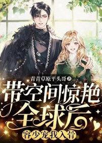 带空间惊艷全球后，容少宠我入骨封面