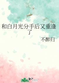 和白月光分手后又重逢了封面