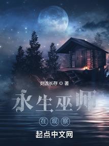 永生巫师在观察封面