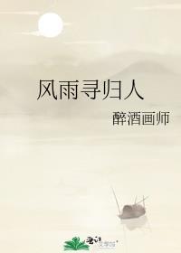风雨寻归人封面