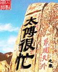 太傅很忙封面