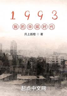 1993我的华娱时代封面