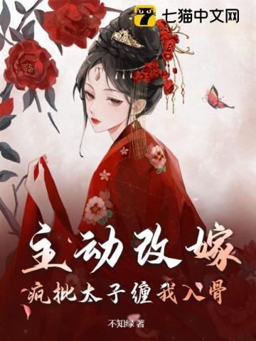 主动改嫁!疯批太子缠我入骨封面