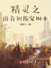 精灵之培育训练家桐木封面