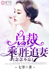 念念不忘，总裁乘胜追妻封面